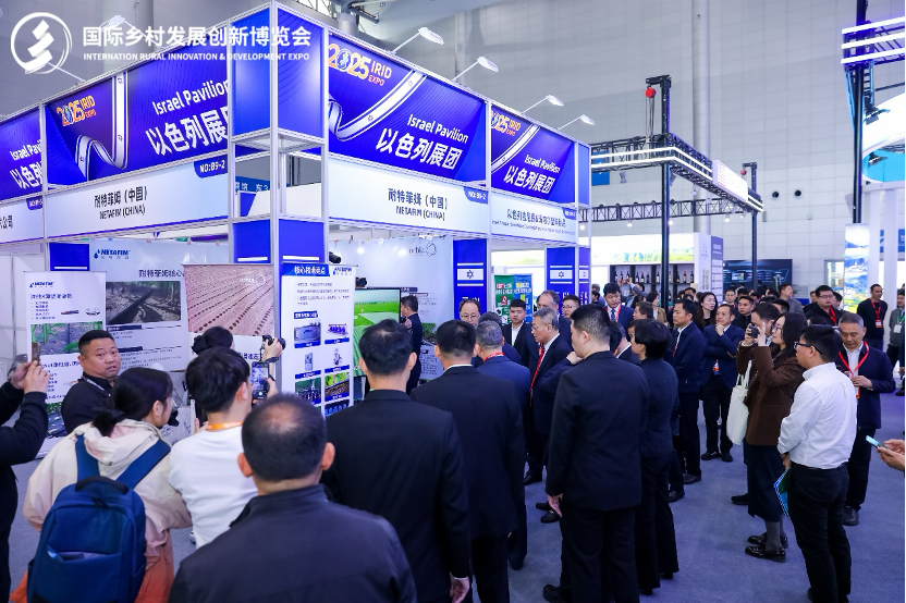 1770105236855692.png image.png